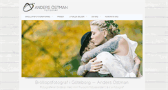 Desktop Screenshot of andersostman.com